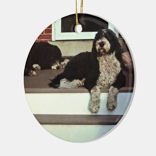 Zwei Sheepadoodles auf der Veranda Keramik Ornament (Links)