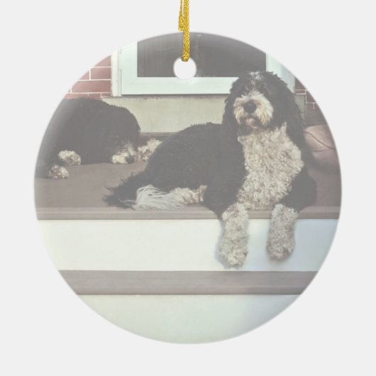 Zwei Sheepadoodles auf der Veranda Keramik Ornament (Hinten)