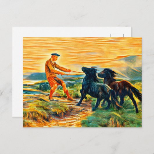 Zwei Shetland-Ponys in einer miessigen Landschaft Postkarte (Vorne/Hinten)