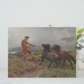 Zwei Shetland Ponys in einer misty schottischen La Karte (Stehend Vorderseite)