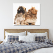 Zwei Shih-Tzus im Wind Leinwanddruck (Insitu (Schlafzimmer))