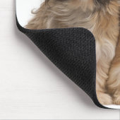 Zwei Shih-Tzus im Wind Mousepad (Ecke)