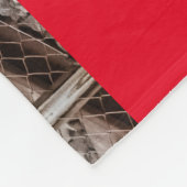 Zwei Shinkansen am Bahnhof Tokio Fleecedecke (Ecke)