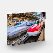 Zwei Shinkansen am Bahnhof Tokio Fotoblock (Links)