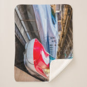 Zwei Shinkansen am Bahnhof Tokio Sherpadecke (Vorderseite)