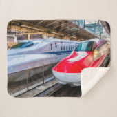 Zwei Shinkansen am Bahnhof Tokio Sherpadecke (Vorderseite (Horizontal))