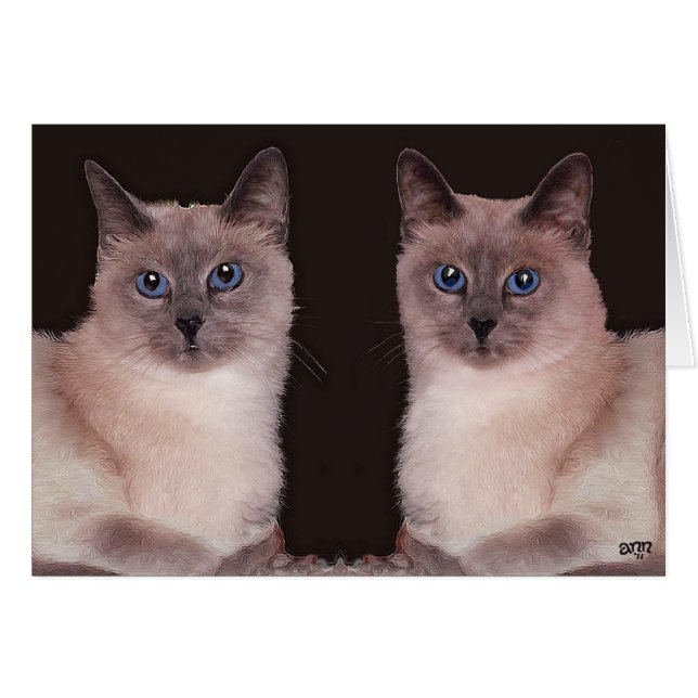 Zwei siamesische Katzen (Vorderseite (Horizontal))