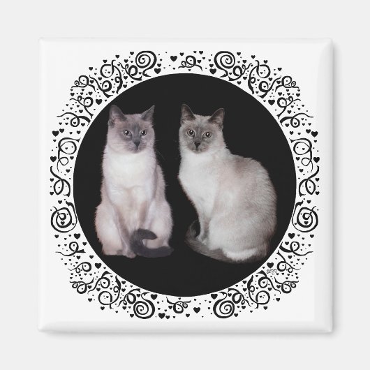 Zwei Siamkatzen Magnet (Vorne)