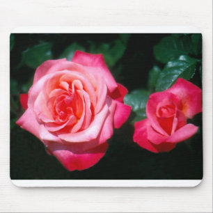 Zwei Silver Jubilee-Rose-Blume Mousepad