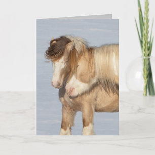 Zwei Sinti und Roma-Hengste - Grußkarte Karte