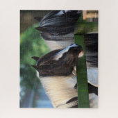 Zwei Sinti und Roma Vanner Pferde schauen über Zau Puzzle (Vertikal)