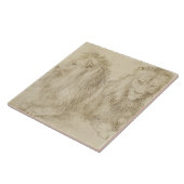 Zwei Sitzbänke (Wildtiere) (Albrecht Durer) Fliese (Seite)