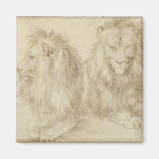Zwei Sitzbänke (Wildtiere) (Albrecht Durer) Magnet (Vorne)