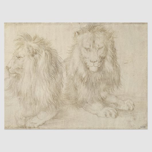 Zwei Sitzbänke (Wildtiere) (Albrecht Durer) Seidenpapier (Vorderseite)