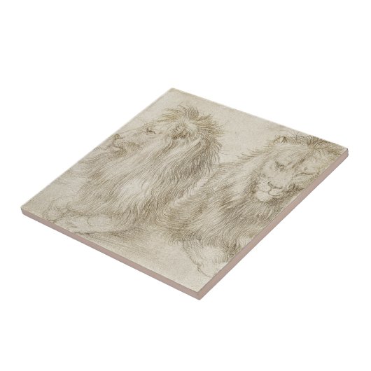 Zwei Sitzlöwen durch Albrecht Durer Fliese (Seite)