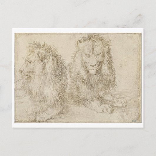 Zwei Sitzmöbel von Albrecht Durer Postkarte (Vorderseite)