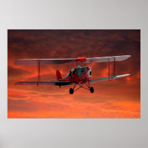 Zwei Sitzplätze Tigermoth