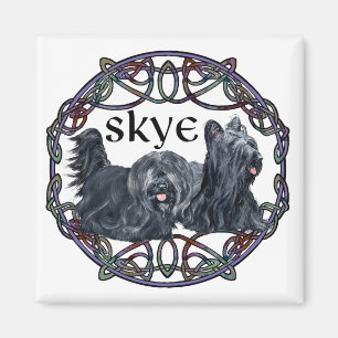 Zwei Skye Terrier im Keltischen Kreis Magnet