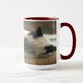 Zwei Sleepy Siamese Tasse