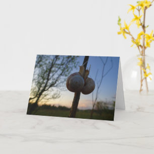 Zwei Snacks auf einer Steppkarte Karte