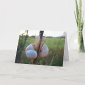 Zwei Snacks auf einer Steppkarte Karte (Vorderseite)