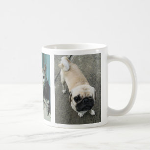 Zwei Soi Hunde und eine Katze ...Thailand Kaffeetasse