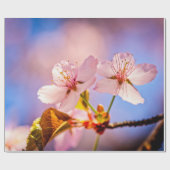 Zwei sonnenbeleuchtete Sakura-Blüten Geschenkpapier (Flach)