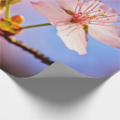 Zwei sonnenbeleuchtete Sakura-Blüten Geschenkpapier (Ecke)