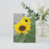 Zwei Sonnenblumen auf der Postkarte (Stehend Vorderseite)