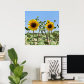 Zwei Sonnenblumen blauer Himmel Poster (Heimbüro)