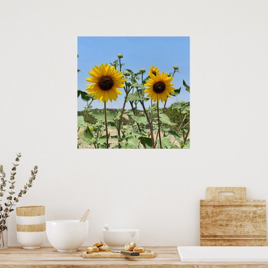 Zwei Sonnenblumen blauer Himmel Poster (Küche)