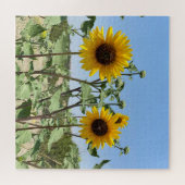 Zwei Sonnenblumen blauer Himmel Puzzle (Horizontal)