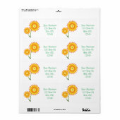 Zwei Sonnenblumen-Pflanze Thunder_Cove (Vorne)