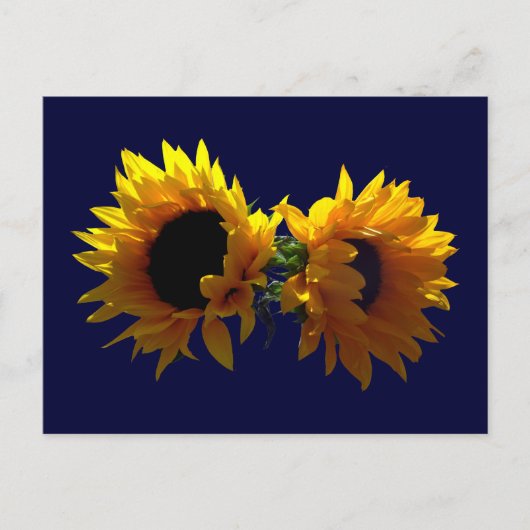 Zwei Sonnenblumen Postkarte (Vorderseite)
