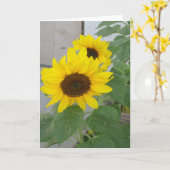 Zwei Sonnenblumenkarten Karte (Gelbe Blume)