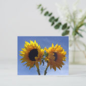 Zwei Sonnenblumenkarten Postkarte (Stehend Vorderseite)