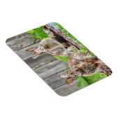 Zwei sonnige Rabbits Magnet (Rechte Seite)