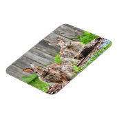 Zwei sonnige Rabbits Magnet (Linke Seite)