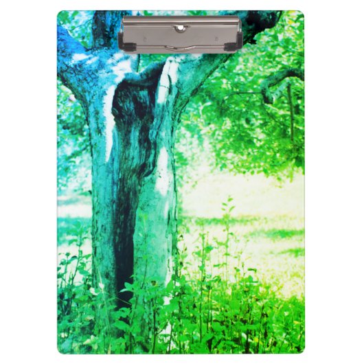 Zwei Soule Klemmbrett (Vorderseite)