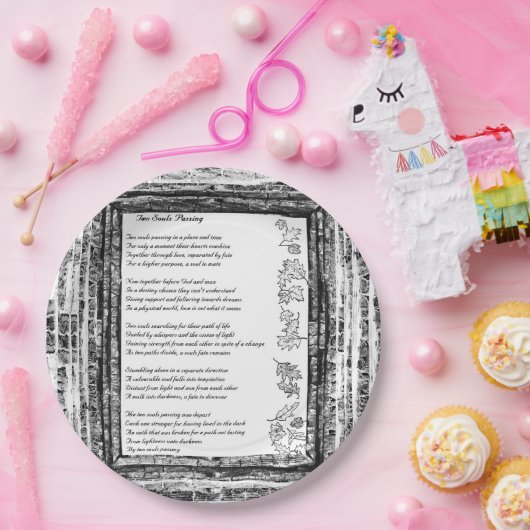 Zwei Soule Pappteller (Party)