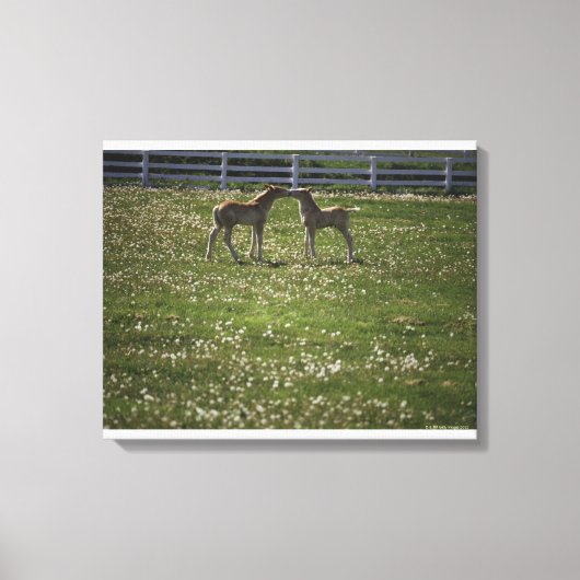 Zwei Spalten im Feld Leinwanddruck (Vorderseite)