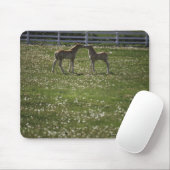 Zwei Spalten im Feld Mousepad (Mit Mouse)