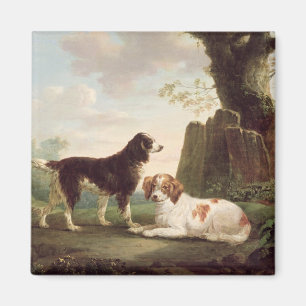 Zwei Spaniels in einer Landschaft Magnet