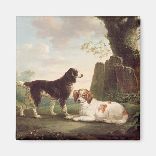 Zwei Spaniels in einer Landschaft Magnet (Vorne)