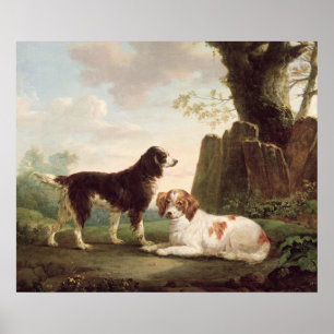 Zwei Spaniels in einer Landschaft Poster