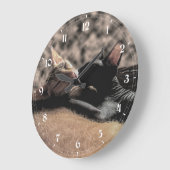 Zwei Sphynx Cats Küssen - Liebe Große Wanduhr (Winkel)