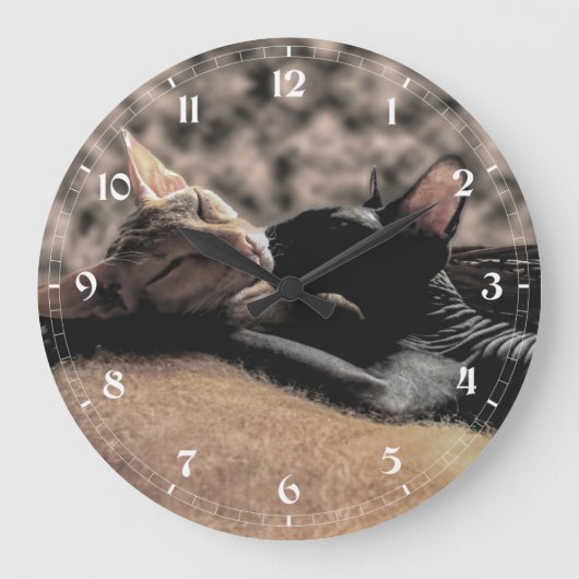 Zwei Sphynx Cats Küssen - Liebe Große Wanduhr (Vorderseite)