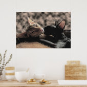 Zwei Sphynx Cats Küssen - Liebe Poster (Küche)
