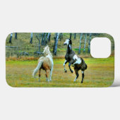 Zwei spielerische Pinto Paint Horses Equine Art De Case-Mate iPhone Hülle (Rückseite (Horizontal))