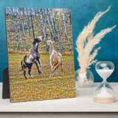 Zwei spielerische Pinto Paint Horses Equine Art De Fotoplatte (Seite)